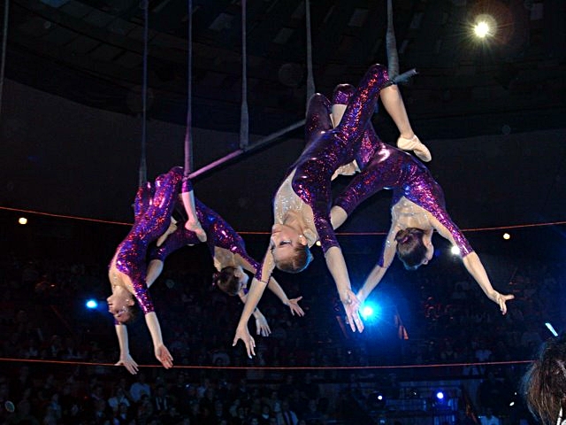 aerialist_mira_greta_circus_of_hungarian